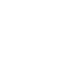 Basketballverse icon
