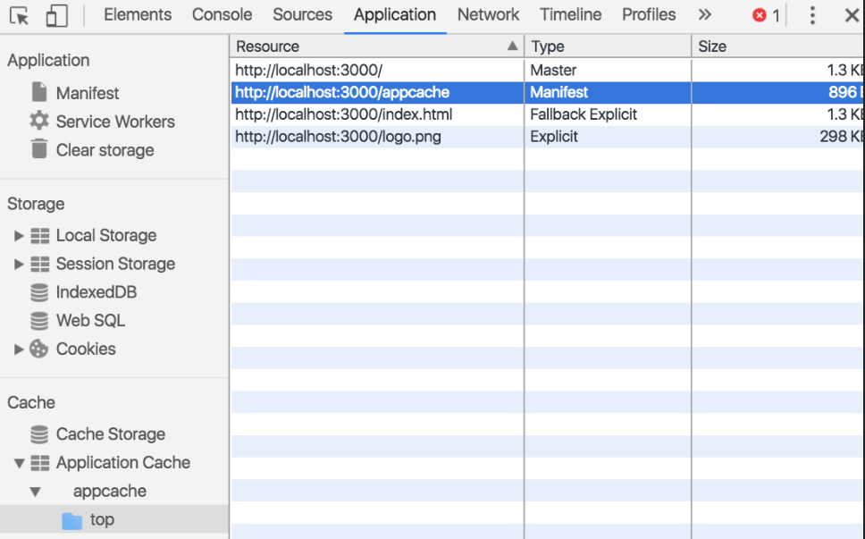 Web Application Testing