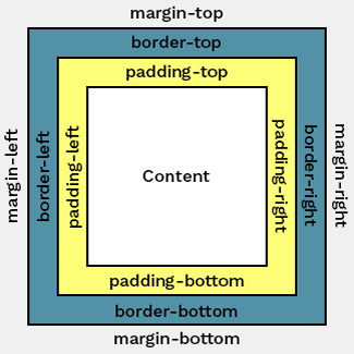 CSS Padding vs Margin: Learn CSS Padding Order and div Padding
